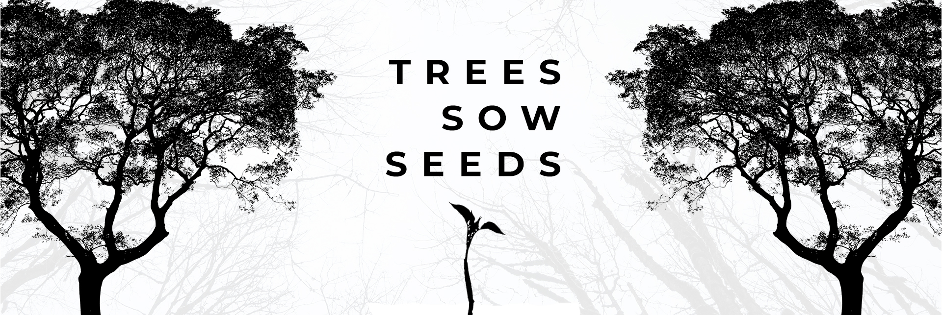 trees sow seeds