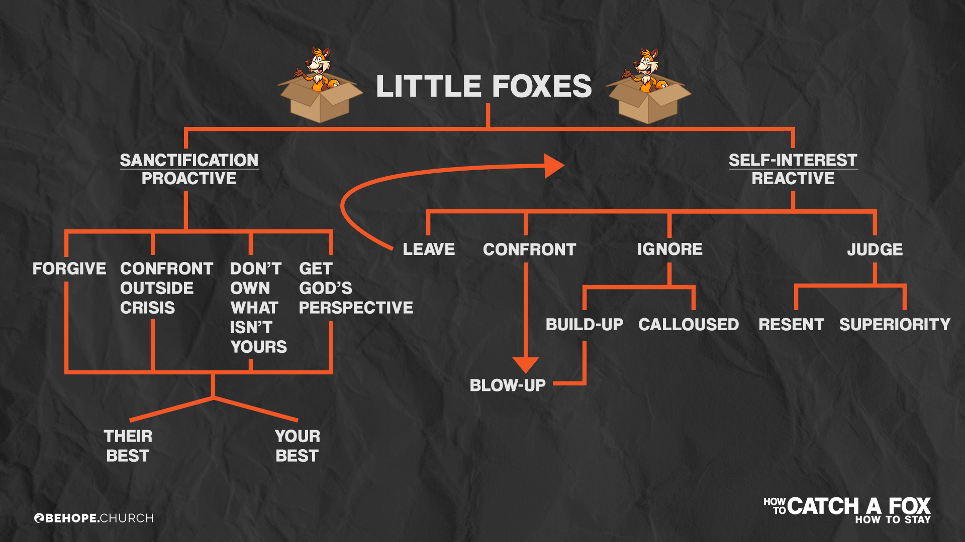 Little_Foxes_Flowchart